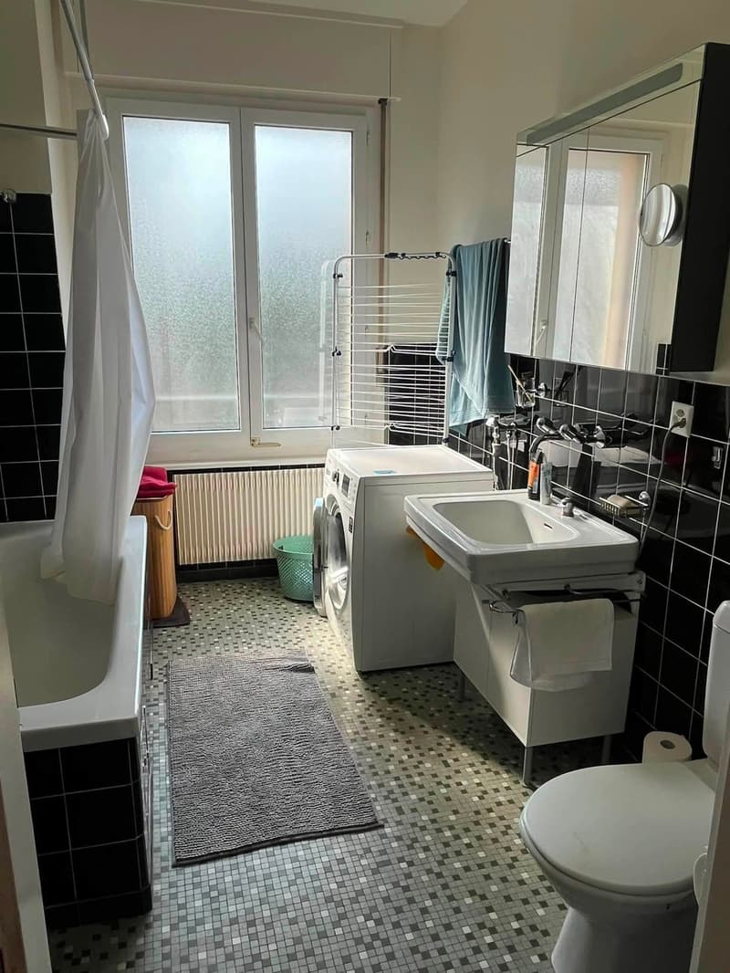 Helles 4.5-Zimmer-Apartment mit Balkon im Herzen von Genf (6)