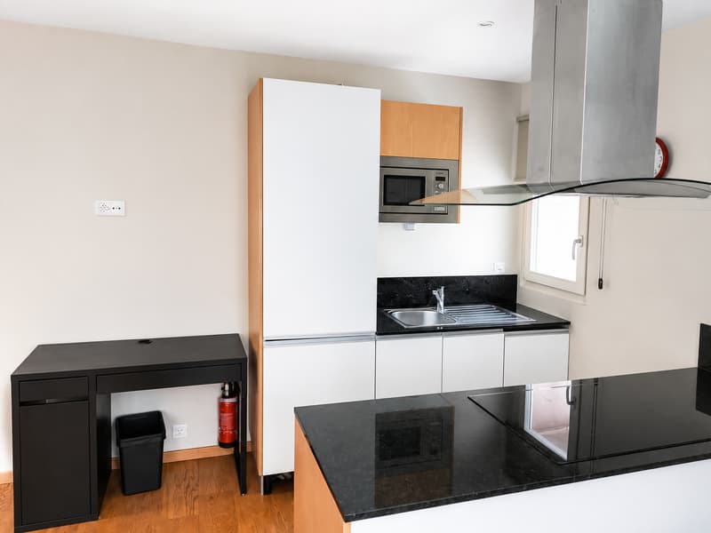 Charming furnished apartment in Chambesy (1)