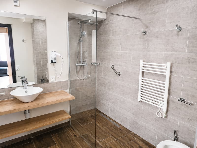 Charming furnished apartment in Chambesy (3)