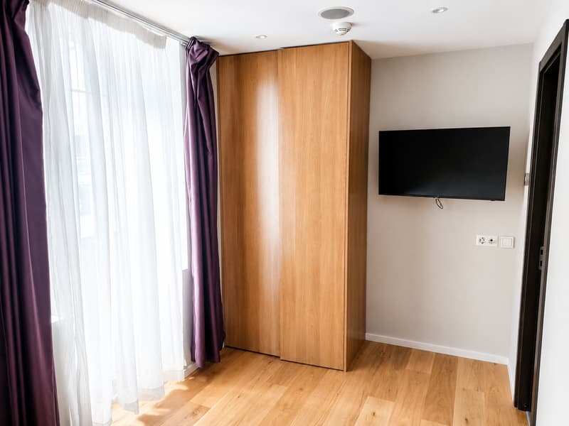 Charming furnished apartment in Chambesy (5)