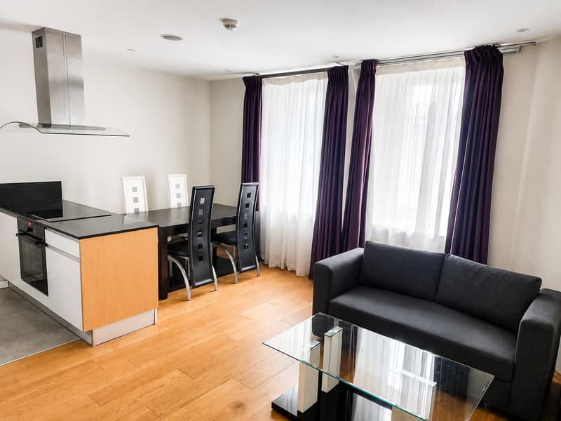 Charming furnished apartment in Chambesy (4)