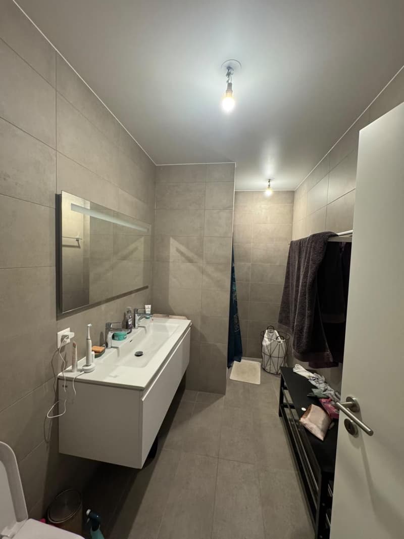 Sehr schönes 4-Zimmer-Apartment in Troinex (7)