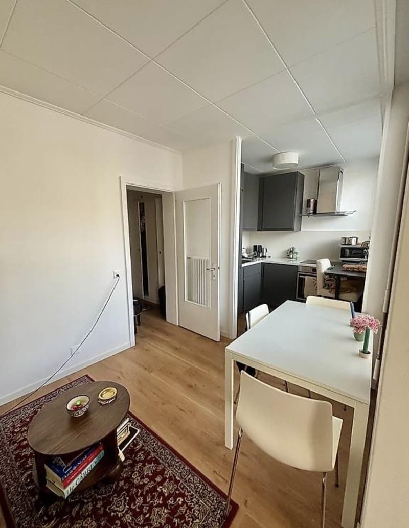 Charming 2.5-room apartment in Champel (3)