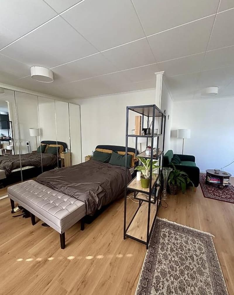 Charming 2.5-room apartment in Champel (1)