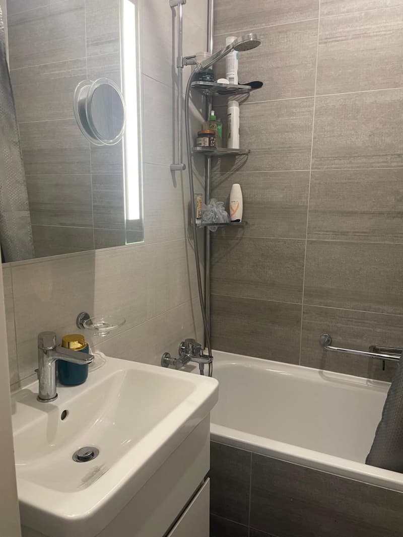 Hellere 3-Zimmer-Wohnung (4)