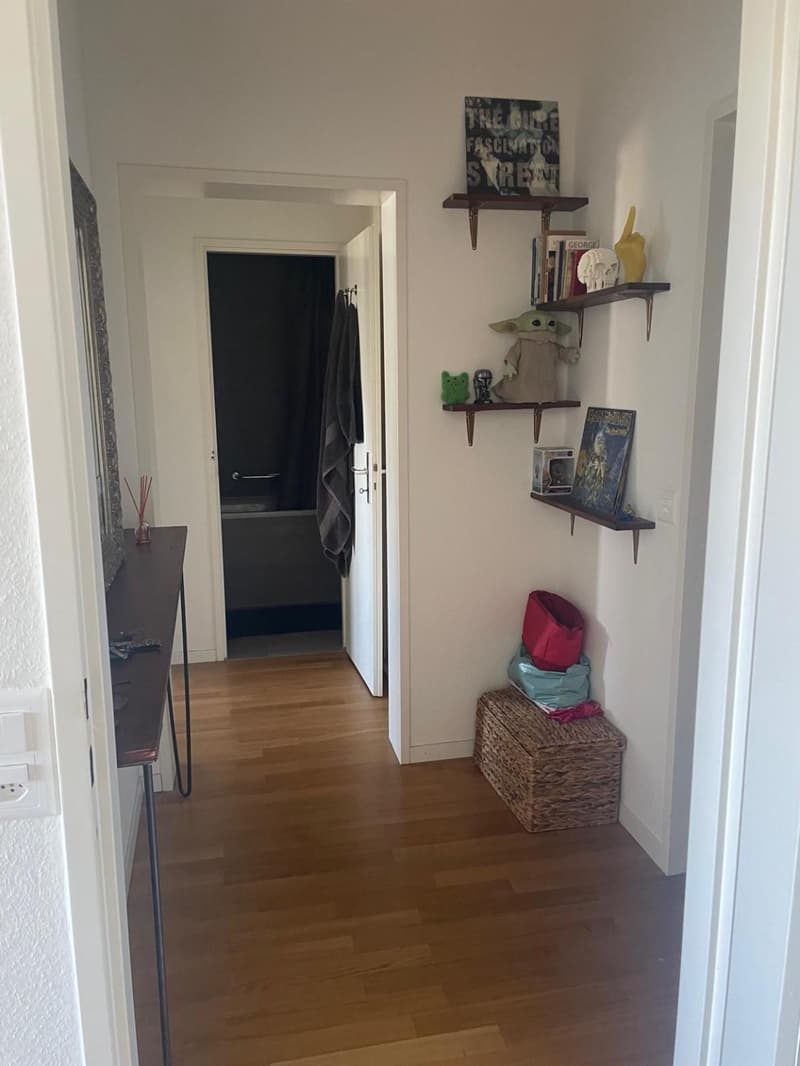 Hellere 3-Zimmer-Wohnung (3)