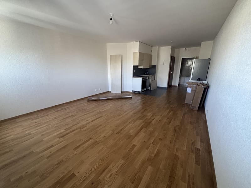 Appartement 1,5 pièces Carrefour de Rive (1)