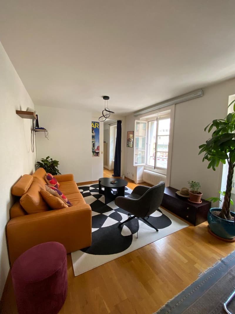 Charmant 3.5 pièces au coeur de Carouge (1)