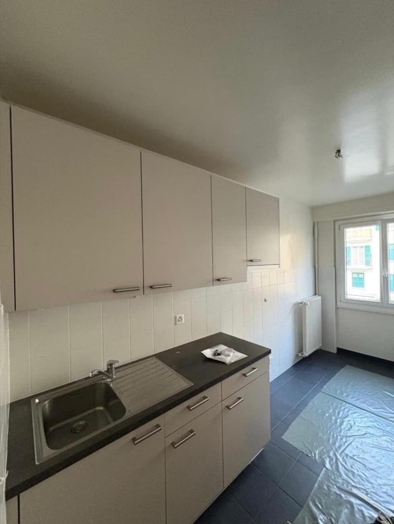 Appartement 2 pièces à Plainpalais (2)