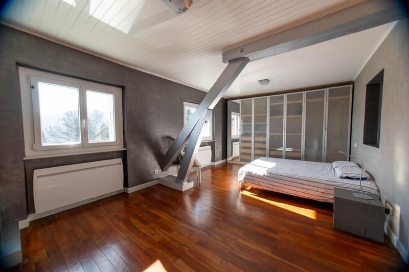 Superbe villa avec piscine et terrain constructible aux portes de Genève (13)