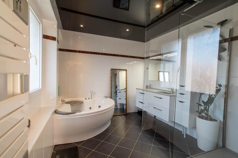 Superbe villa avec piscine et terrain constructible aux portes de Genève (10)