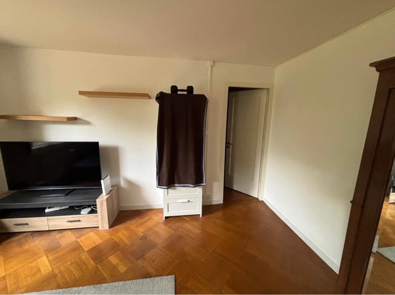 EXCLUSIVITE - Jolie 3 pièces à Chêne-Bourg (5)