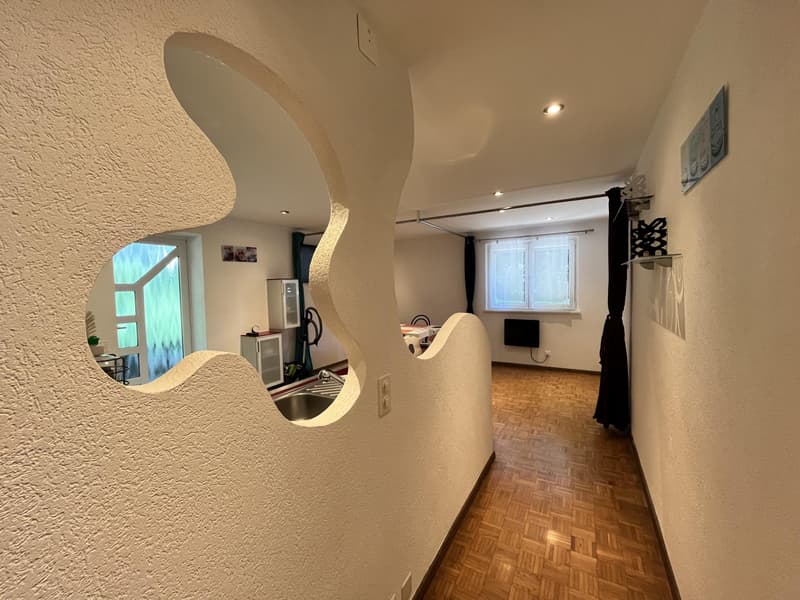 Pregny-Chambésy - 3 pièces meublé de 55 m² avec véranda et jardin - Calme absolu (8)