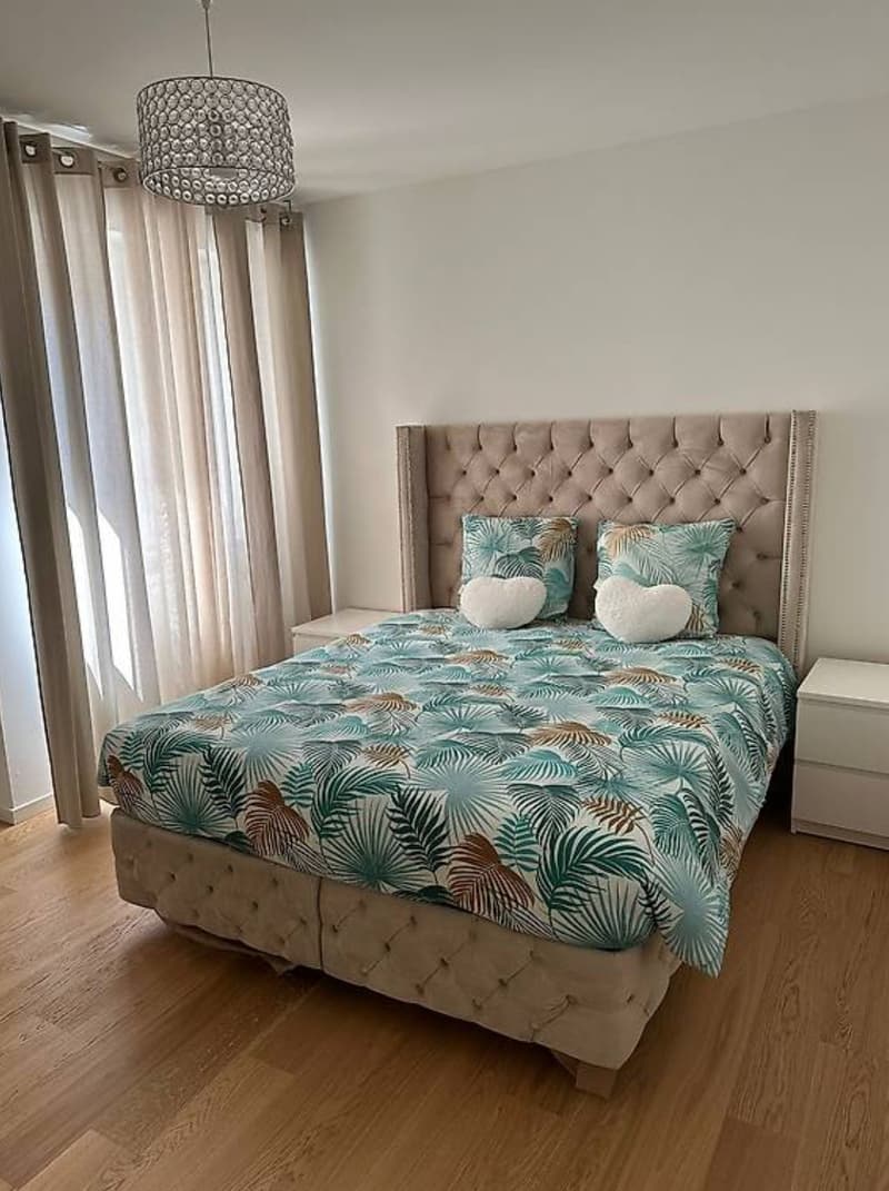 Appartement de 3 pièces au centre ville de Genève (3)