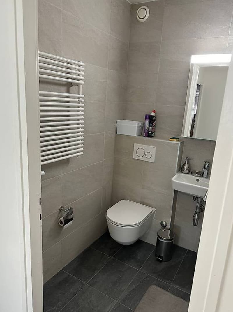 Appartement de 3 pièces au centre ville de Genève (4)