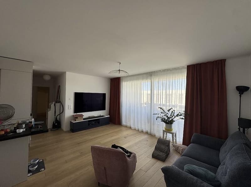Très bel appartement 4 pièces à Troinex (2)