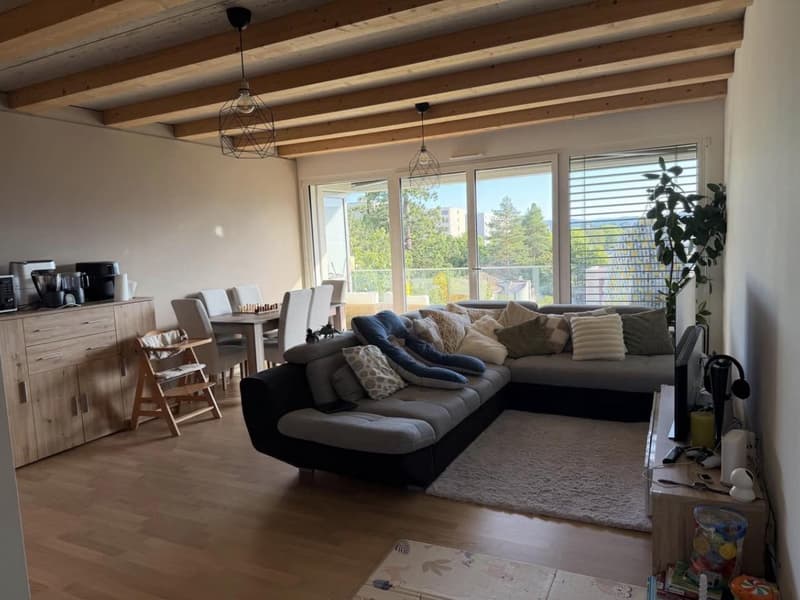 Appartement 3,5 pièces récent à Meyrin (3)
