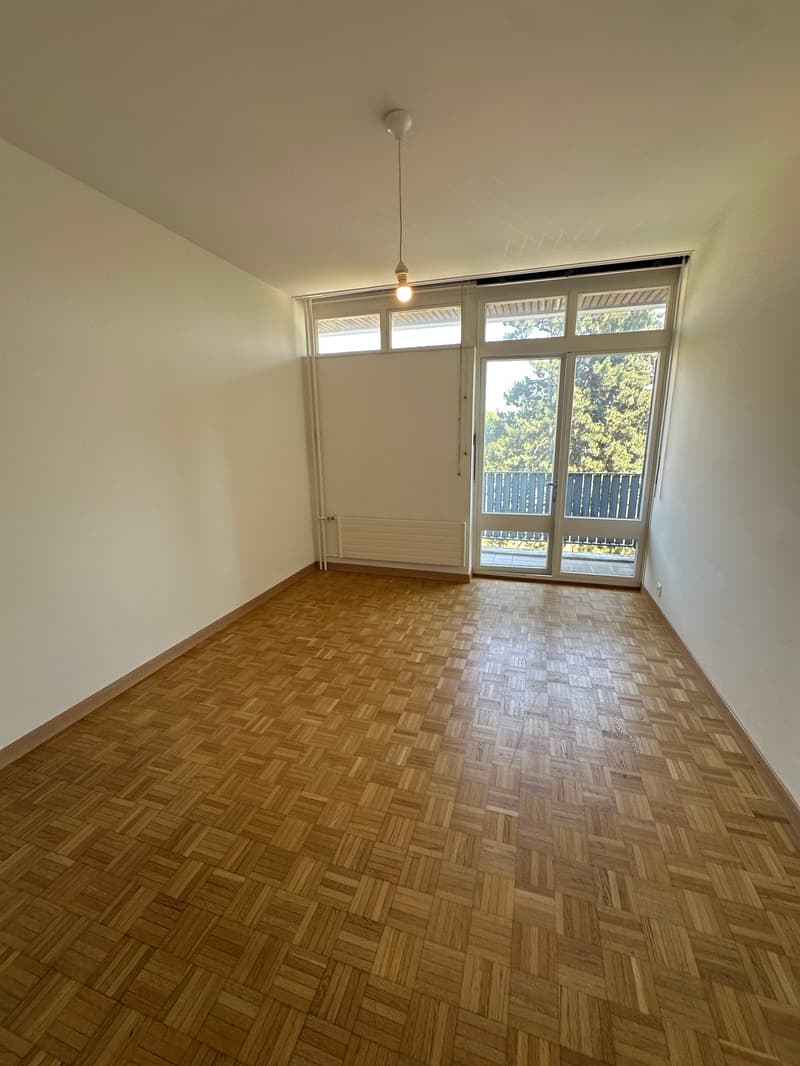 Nice appartment 3 bedrooms with swimming pool (8)