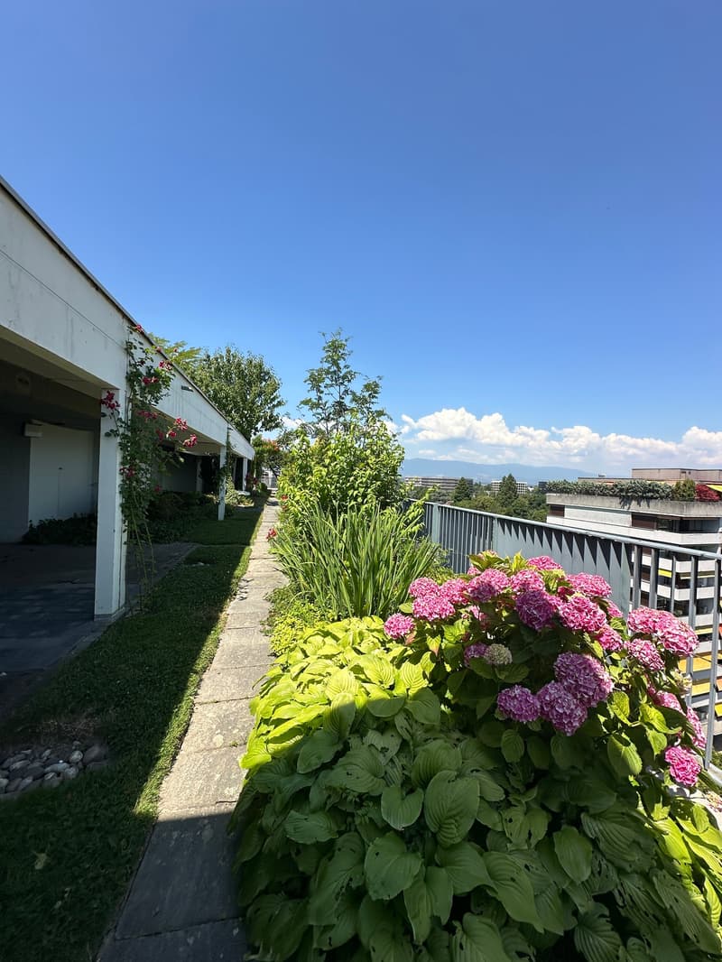 Nice appartment 3 bedrooms with swimming pool (1)