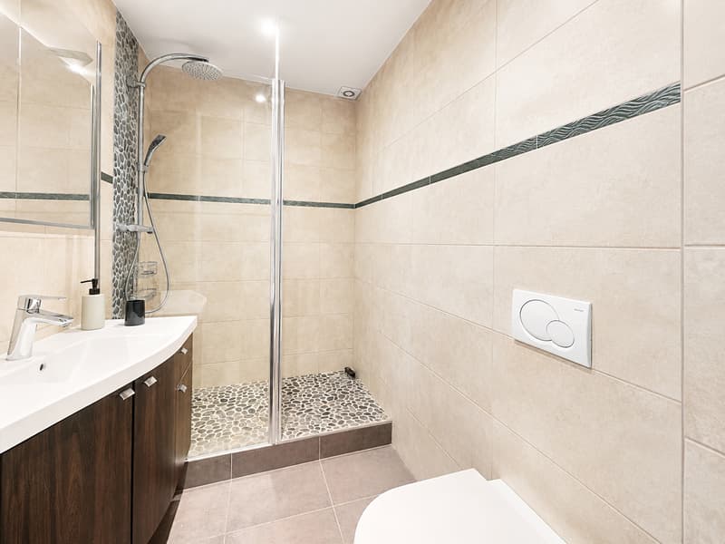 Appartement lumineux de 5.5 pièces à louer – Rue de Lausanne, Genève (8)