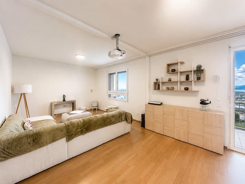 Spacieux appartement en attique de 5 pièces avec vue imprenable – Genève 1203 (1)