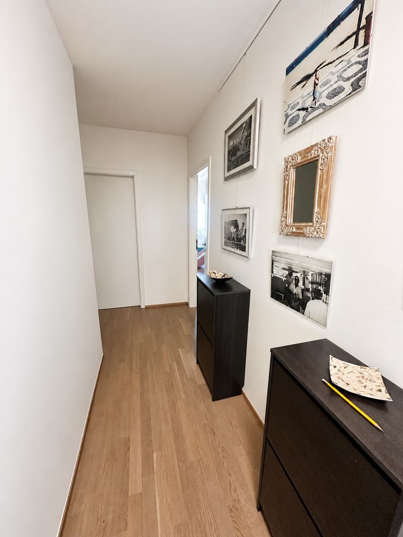 Spacieux appartement en attique de 5 pièces avec vue imprenable – Genève 1203 (5)