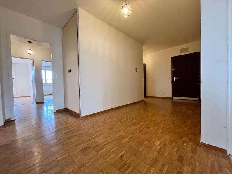 Appartement rénové de 4 chambres, 177 m² PPE, vue panoramique (Meyrin) (5)