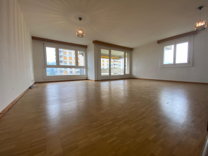 Appartement rénové de 4 chambres, 177 m² PPE, vue panoramique (Meyrin) (3)