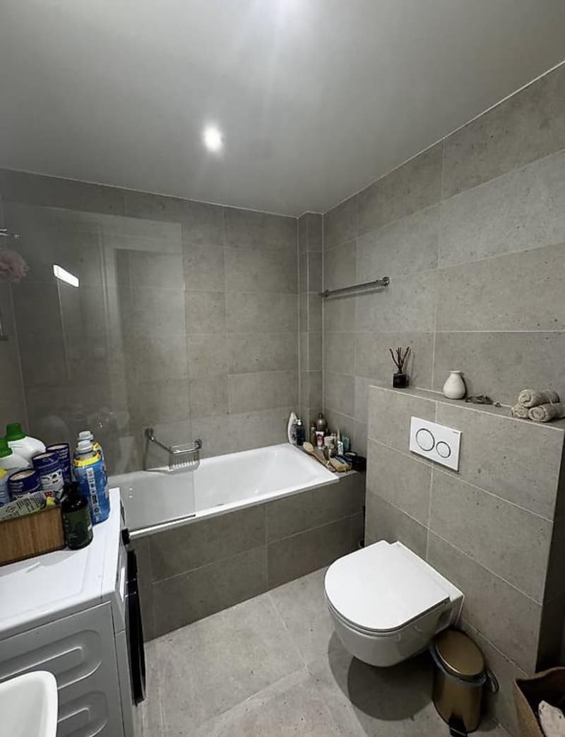 Bel appartement 3 pièces (5)