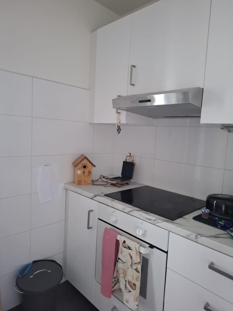 Appartement studio au coeur des Eaux-vives (3)