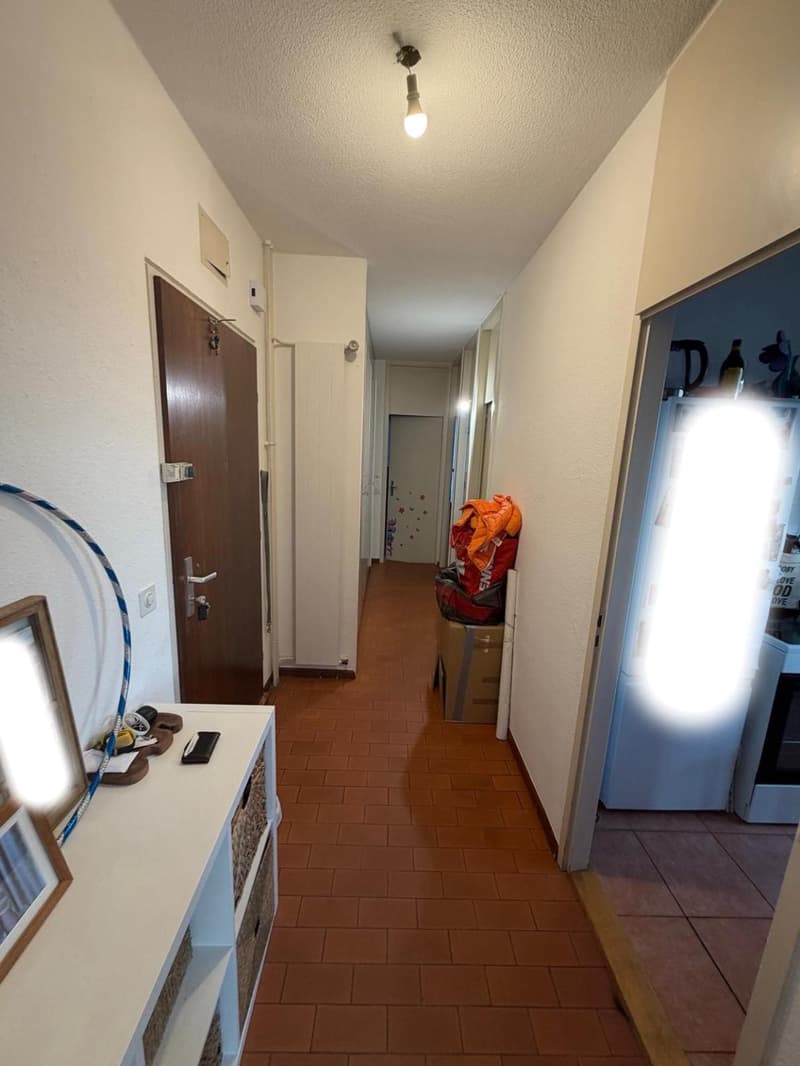 EXCLUSIVITÉ - Appartement 4 pièces situé dans le quartier de Carouge. (3)