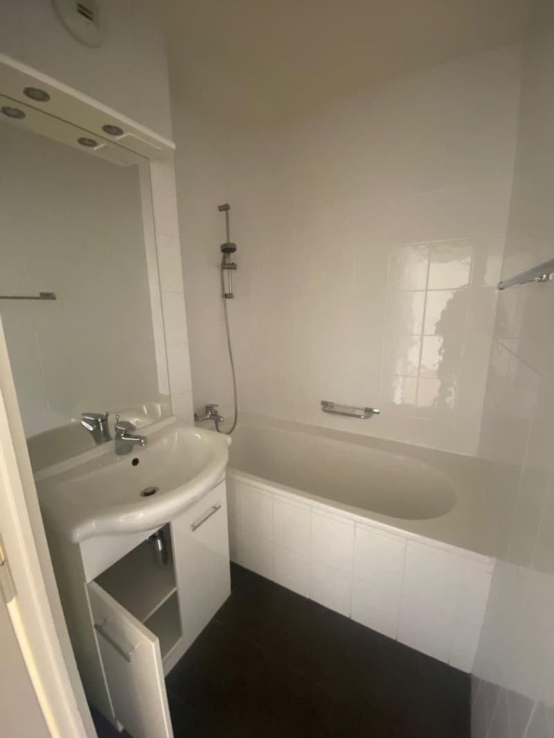 Bel appartement de 3.5 pièces avec grand balcon (4)