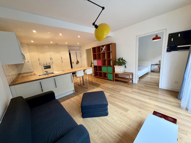 Magnifique appartement 3 pièces au Nation (4)