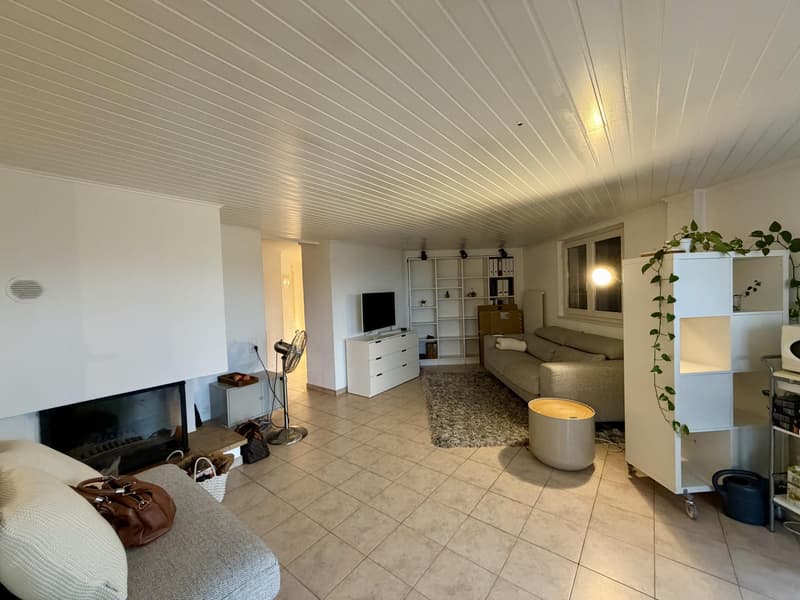 Appartement 4,5 pièces en attique situé dans le quartier de Saint-Gervais. (2)
