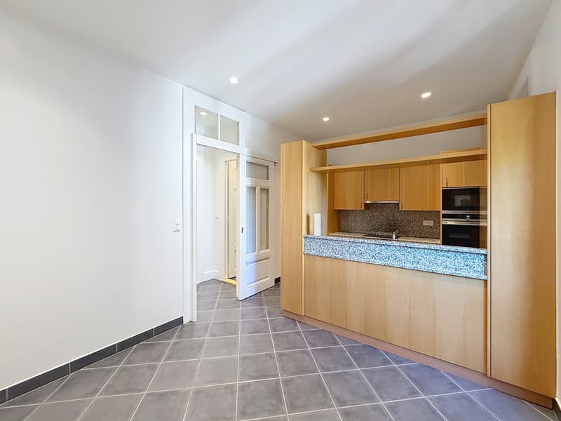 Spacieux appartement de 8 pièces à Genève - Champel (5)