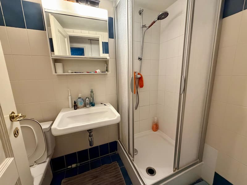 EXCLUSIVITÉ ? Spacieux appartement 5 pièces de 117 m² à Pregny-Chambésy (9)