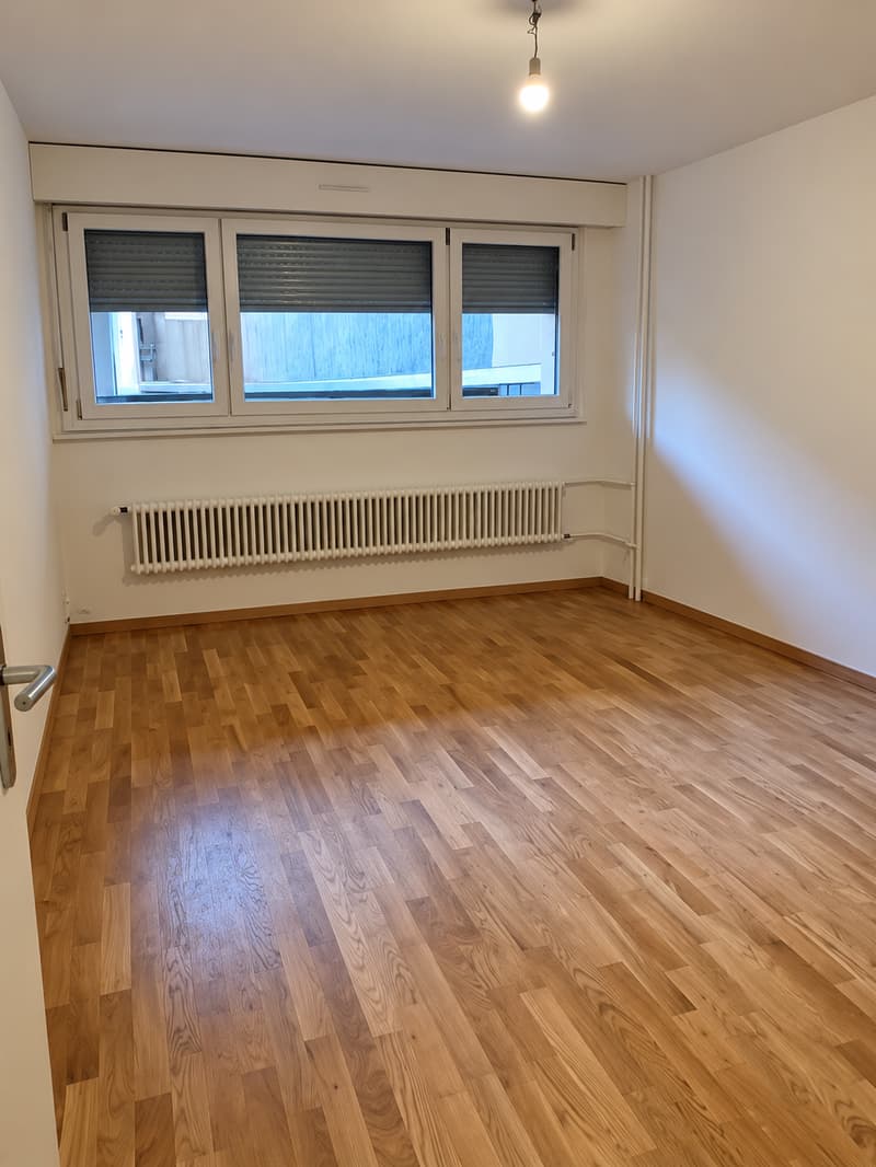 Bel appartement 3 pièces ? Au coeur de Plainpalais (3)
