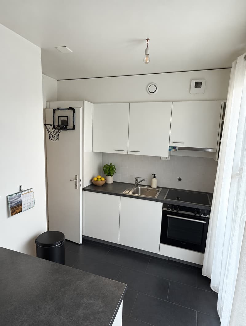 Appartement 4 pièces à Châtelaine (3)