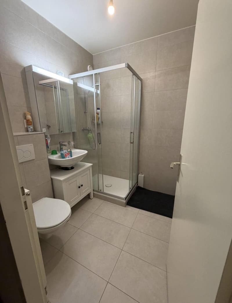 Appartement 2 pièces aux Eaux-vives (3)