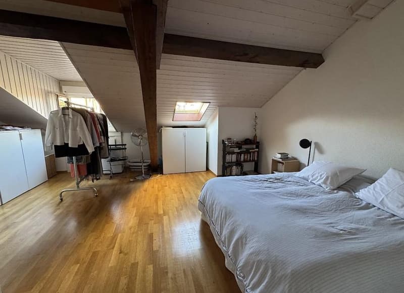 Bel appartement 4 pièces (3)