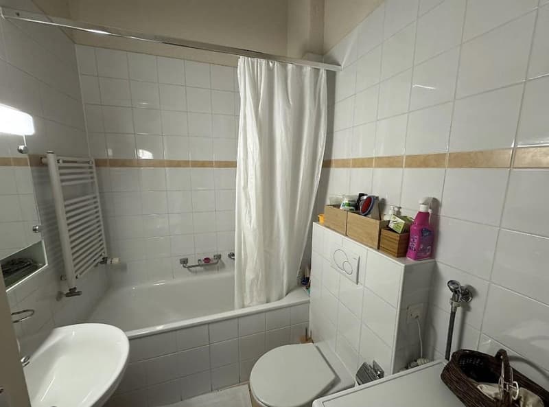 Bel appartement 4 pièces (5)