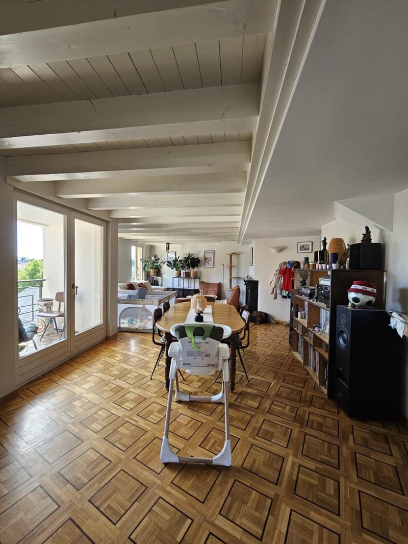 Bel appartement 6 pièces à Chêne-Bourg (1)