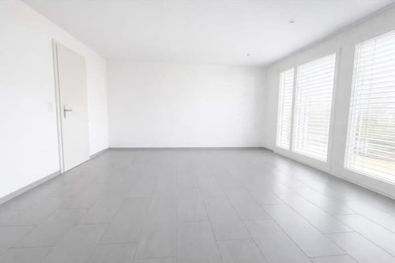 spacious empty room, white walls, gray tiles, white door, large windows with blinds