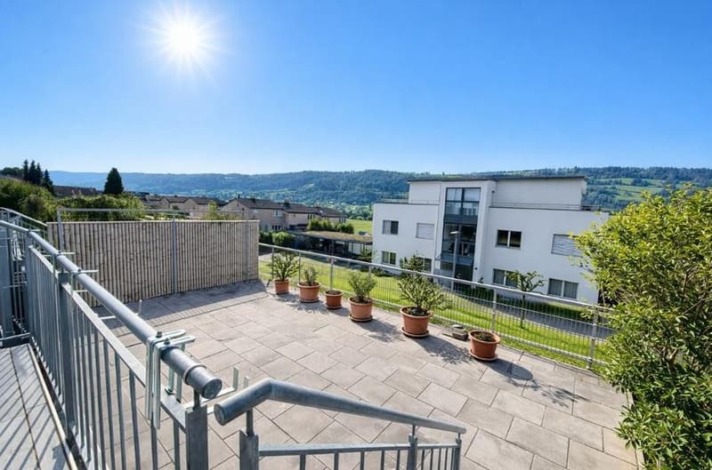 A sunny terrace with wooden flooring and a railing, various potted plants, and a view of the mountains