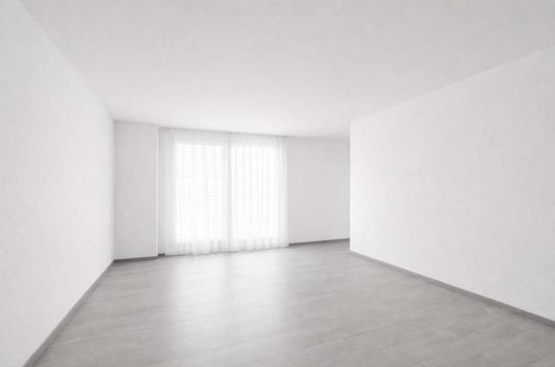 empty room with white walls, wooden floor, large window with white curtains