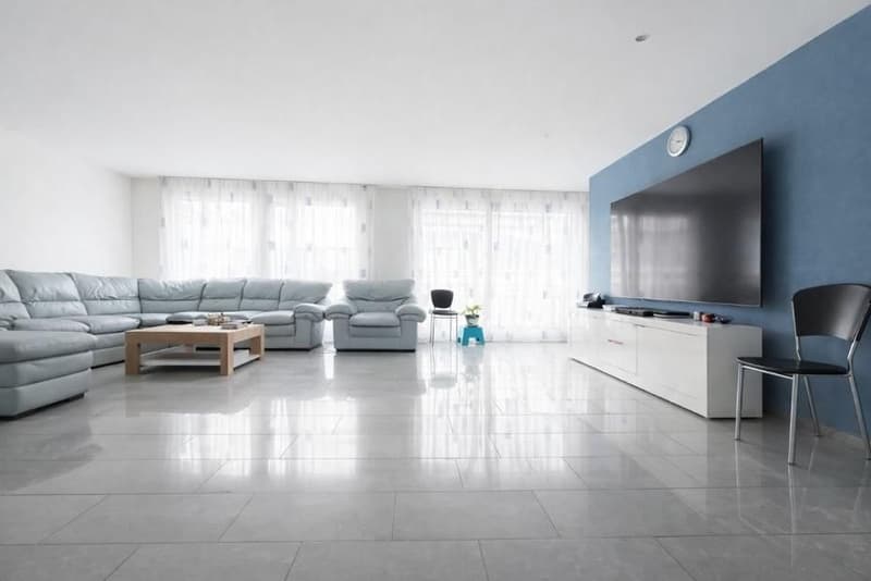 Open floor plan, U-shaped sofa, coffee table, TV, two armchairs, storage cabinet, clock, flower pot, windows, carpet