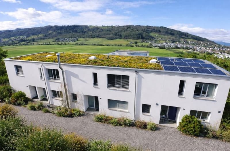 two-story modern house, white exterior, solar panels on roof, green rooftop, large windows