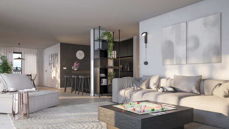 ESPACE-LUMIERE-VUE-3 ou 4 CHAMBRES-TERRASSE en ATTIQUE (3)