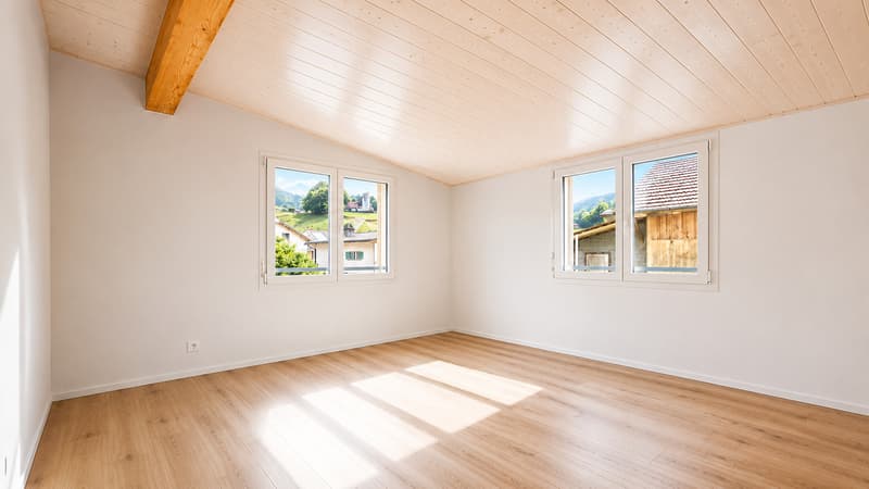 DERNIERE OPPORTUNITE VILLA NEUVE EN GRUYERE (5)