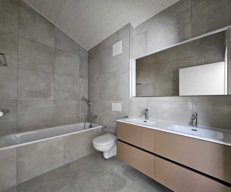 DERNIERE OPPORTUNITE VILLA NEUVE EN GRUYERE (8)